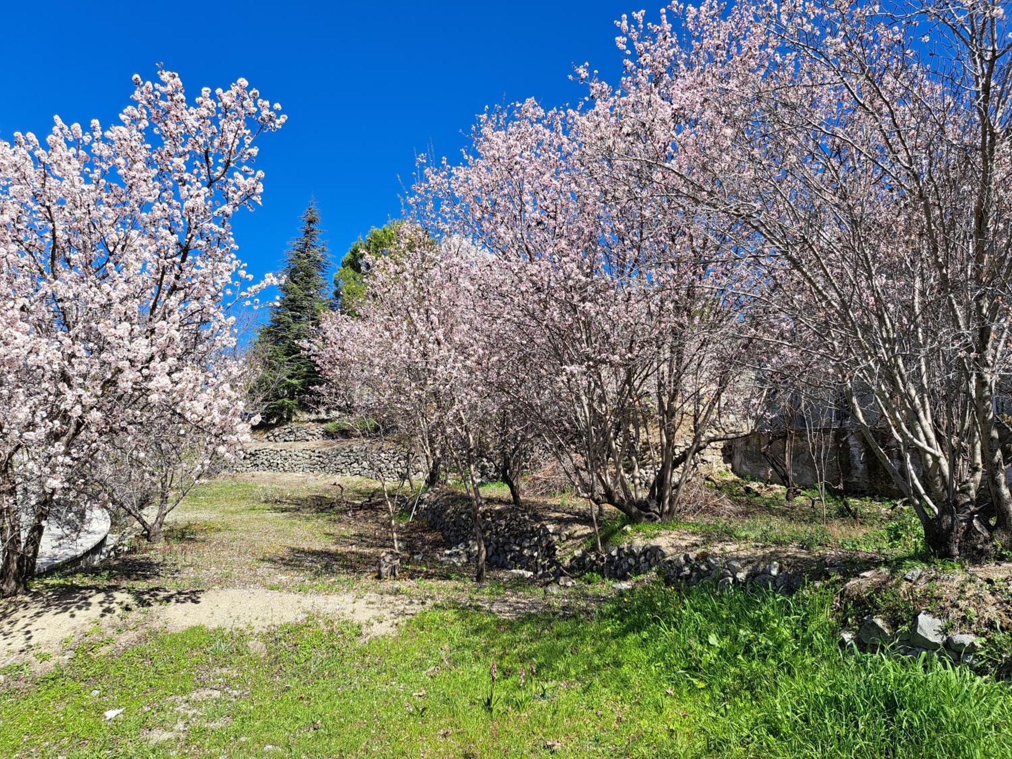 Kyperounta Troodos Mountain House * Limassol