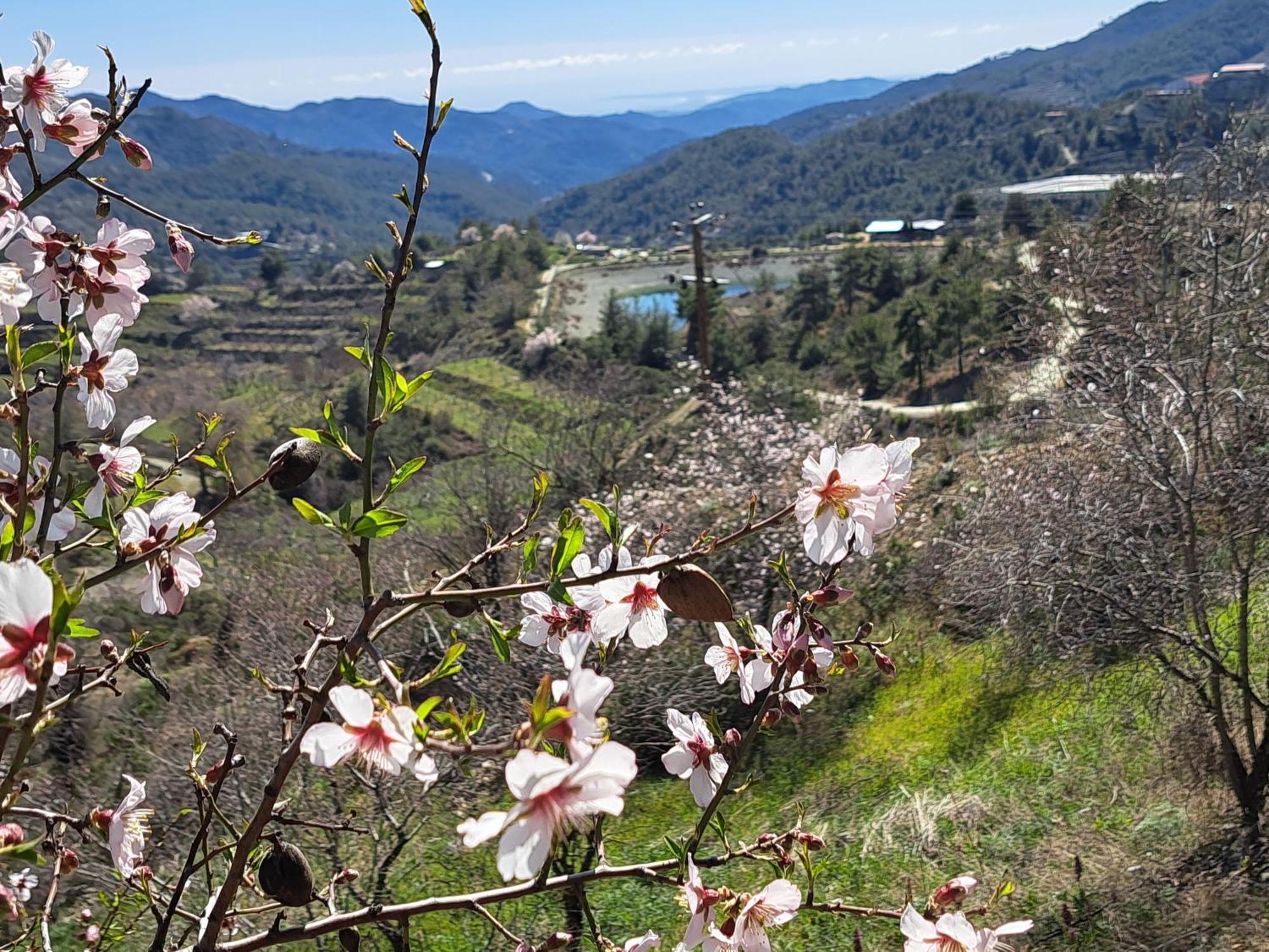 Kyperounta Troodos Mountain House Apartment Limassol