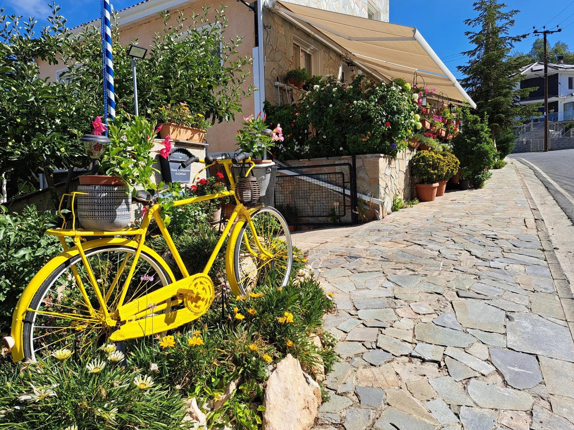 Kyperounta Troodos Mountain House Limassol